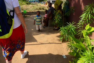 DSC_8684 (Large).JPG